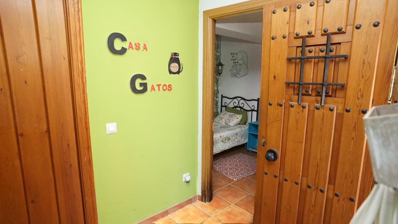 Casa Gatos Apartment Толедо Екстериор снимка