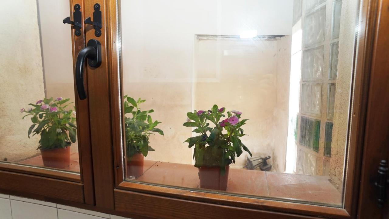 Casa Gatos Apartment Толедо Екстериор снимка